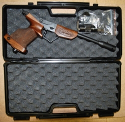 Pistol case, polyamide